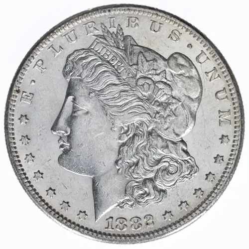Morgan Silver Dollar