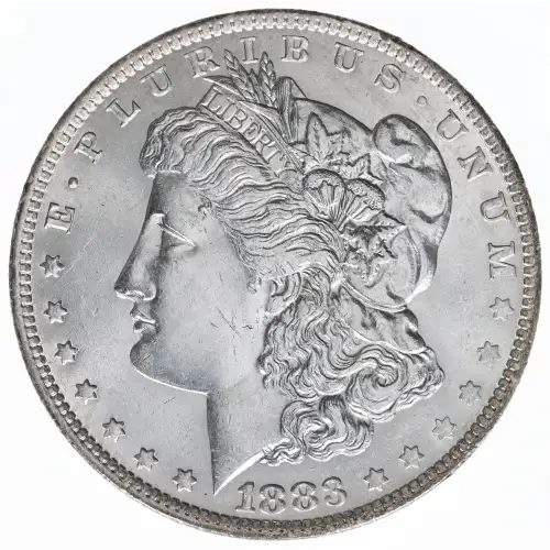 Morgan Silver Dollar (2)
