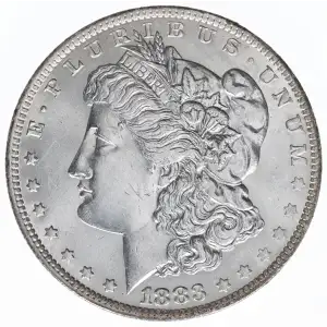 Morgan Silver Dollar (2)