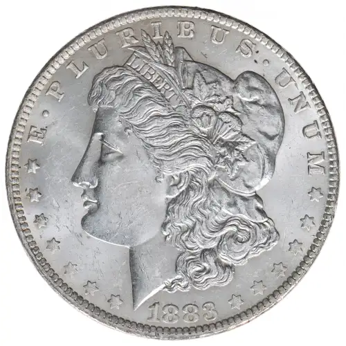 Morgan Silver Dollar (2)
