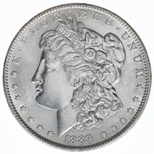 Morgan Silver Dollar