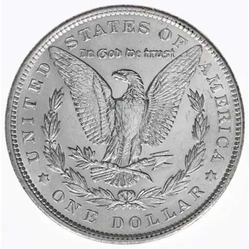 Morgan Silver Dollar (2)