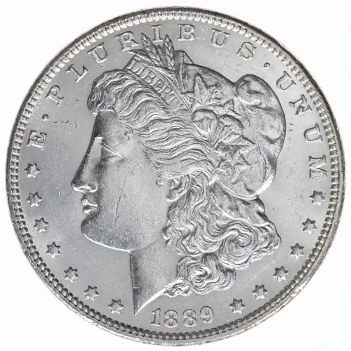 Morgan Silver Dollar (2)