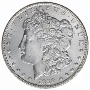 Morgan Silver Dollar (2)