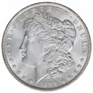 Morgan Silver Dollar (2)