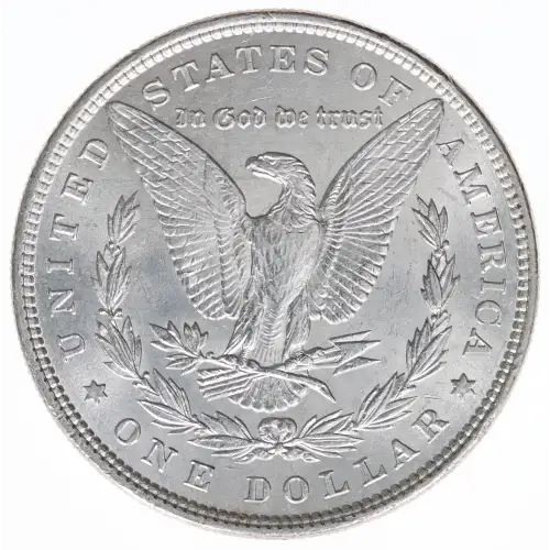 Morgan Silver Dollar (2)