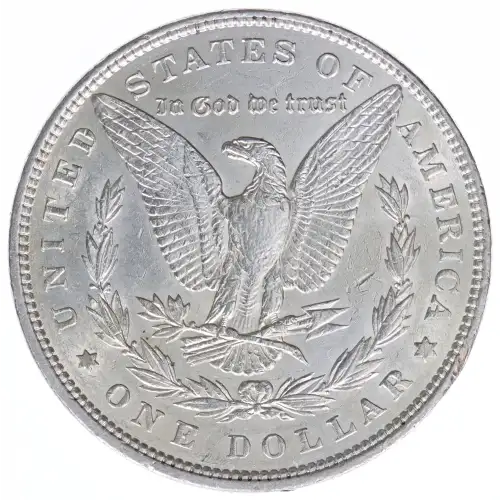 Morgan Silver Dollar (2)