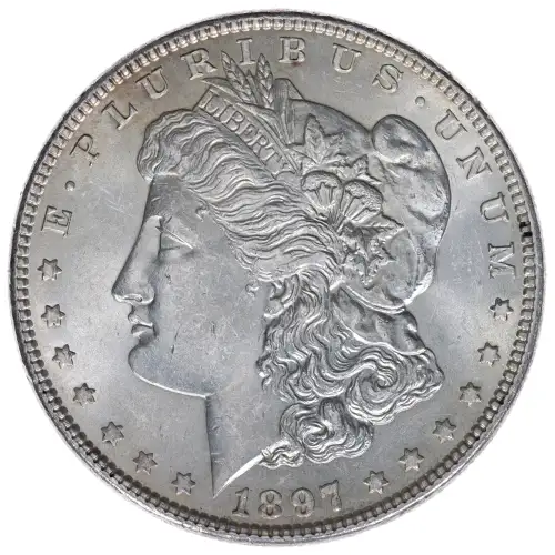 Morgan Silver Dollar