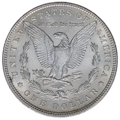 Morgan Silver Dollar (2)