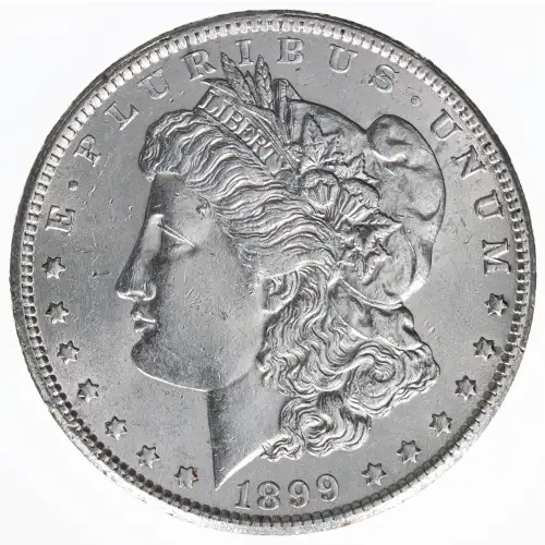 Morgan Silver Dollar
