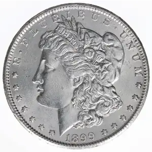 Morgan Silver Dollar