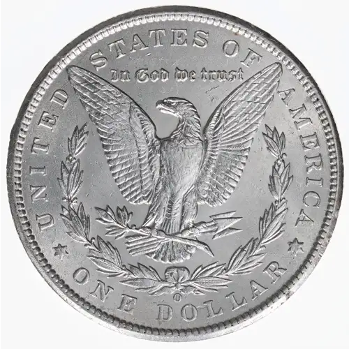 Morgan Silver Dollar (2)
