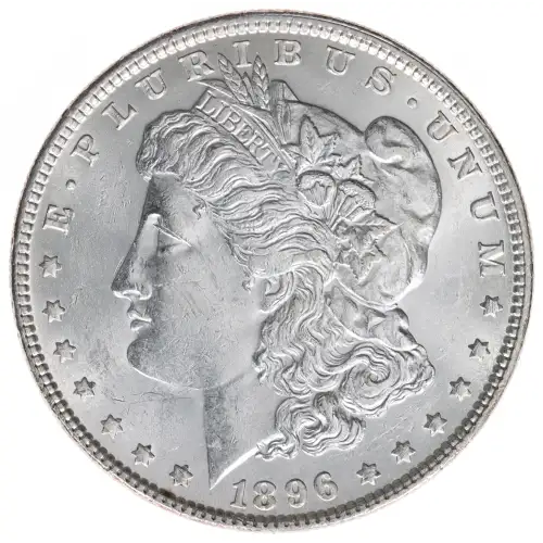 Morgan Silver Dollar (2)