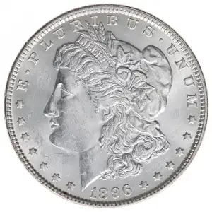 Morgan Silver Dollar (2)