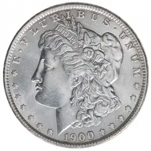 Morgan Silver Dollar (2)