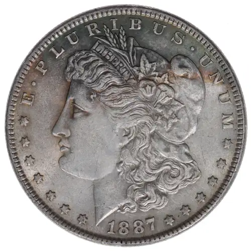 Morgan Silver Dollar (2)