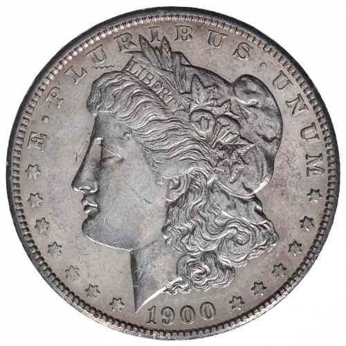 Morgan Silver Dollar (2)