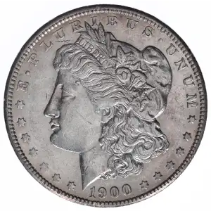 Morgan Silver Dollar (2)