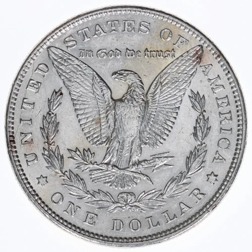 Morgan Silver Dollar (2)