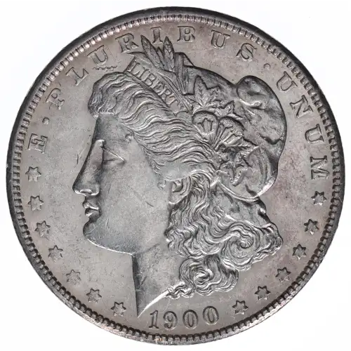 Morgan Silver Dollar (2)