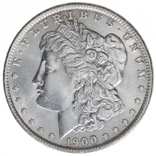 Morgan Silver Dollar (2)