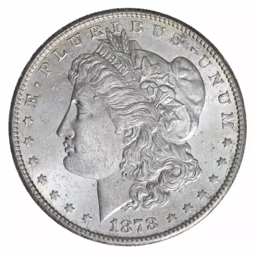Morgan Silver Dollar (4)