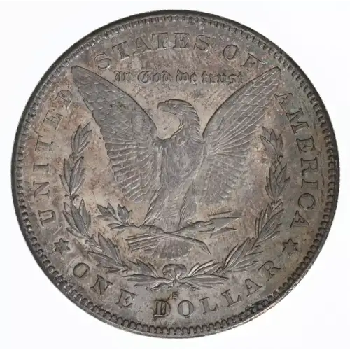 Morgan Silver Dollar (2)