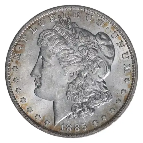 Morgan Silver Dollar (3)
