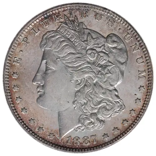 Morgan Silver Dollar