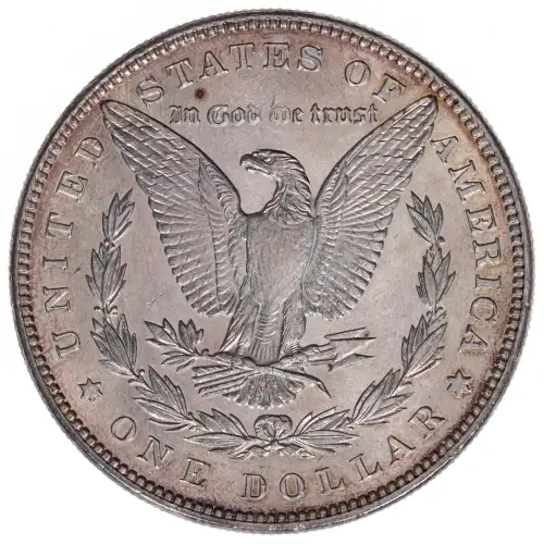Morgan Silver Dollar (2)