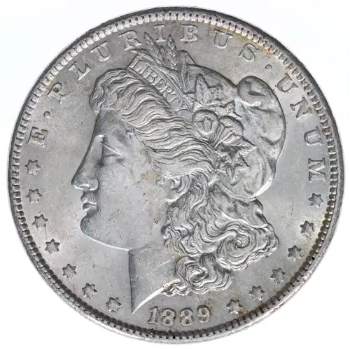 Morgan Silver Dollar (2)