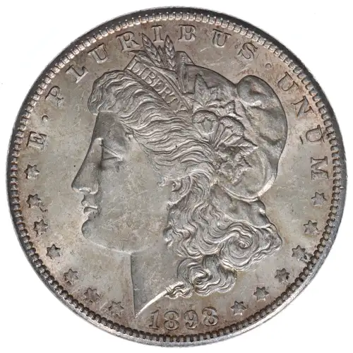 Morgan Silver Dollar