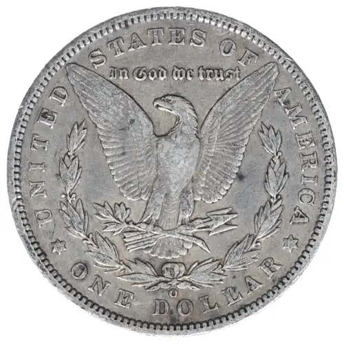 Morgan Silver Dollar (2)