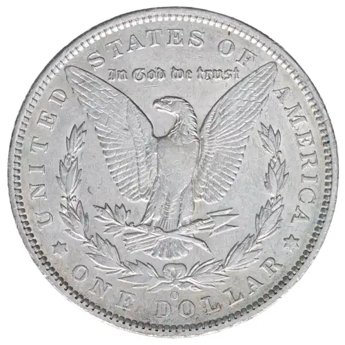 Morgan Silver Dollar (2)