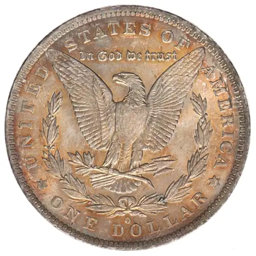 Morgan Silver Dollar (2)
