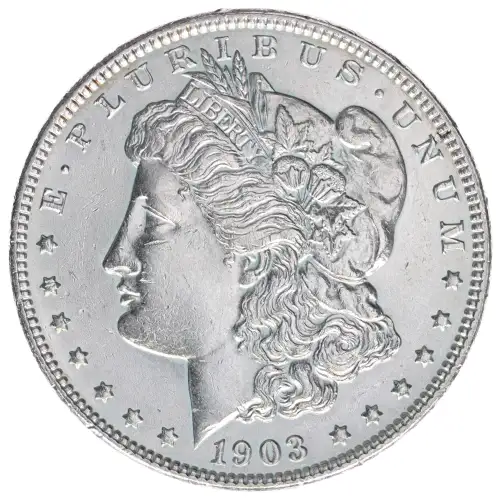 Morgan Silver Dollar (2)