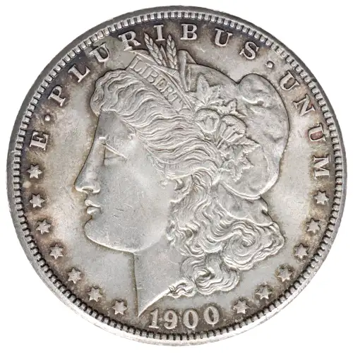 Morgan Silver Dollar (2)