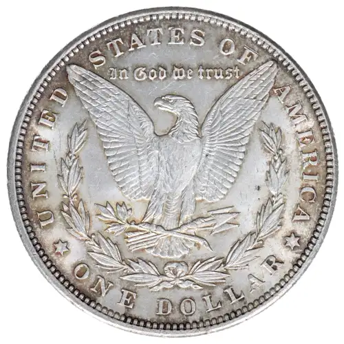 Morgan Silver Dollar