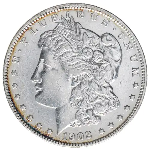 Morgan Silver Dollar (2)