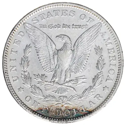 Morgan Silver Dollar
