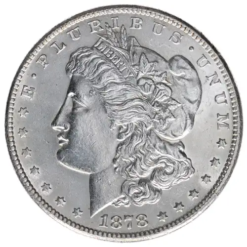 Morgan Silver Dollar