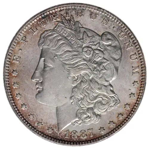 Morgan Silver Dollar (4)