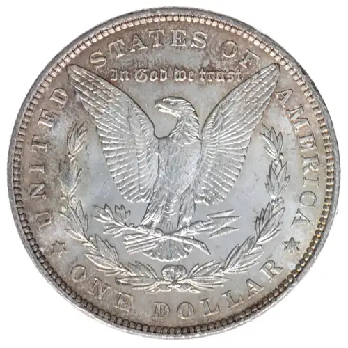 Morgan Silver Dollar