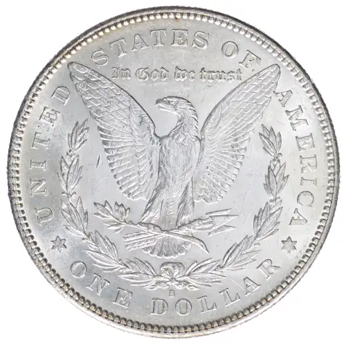 Morgan Silver Dollar (2)