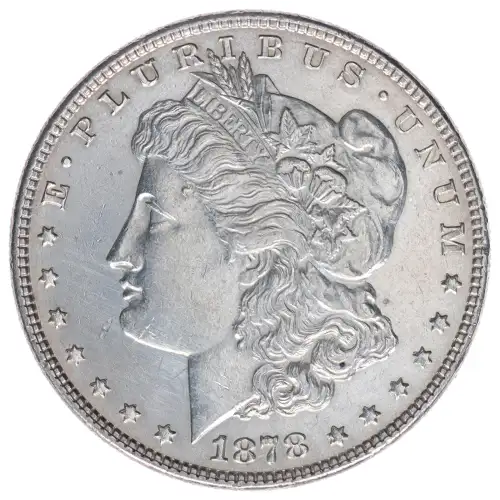 Morgan Silver Dollar (2)