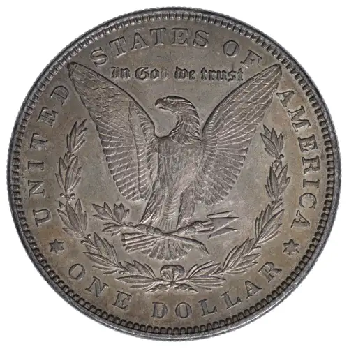 Morgan Silver Dollar