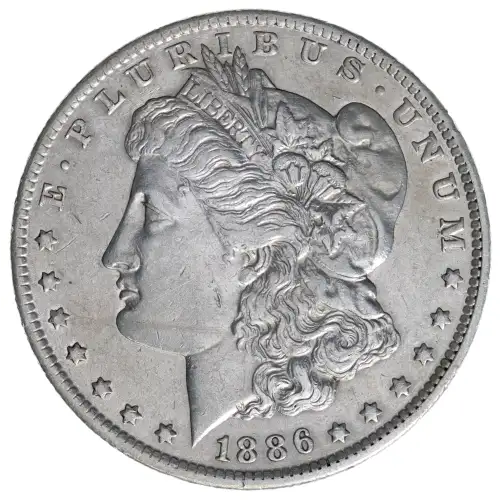 Morgan Silver Dollar (2)