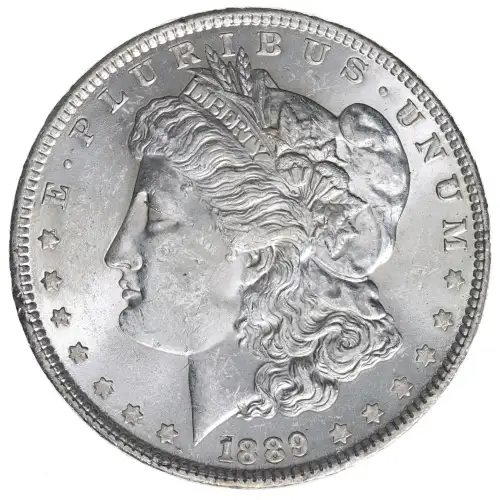 Morgan Silver Dollar