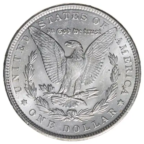 Morgan Silver Dollar (2)