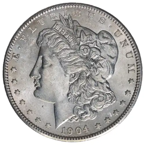 Morgan Silver Dollar